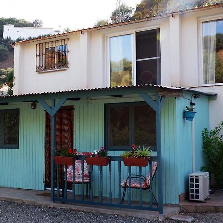 Vegan Guesthouse Finca Pereila Coín Dış mekan fotoğraf