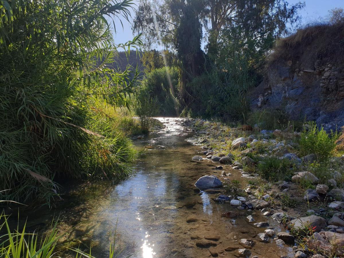 Vegan Guesthouse Finca Pereila Coín Dış mekan fotoğraf