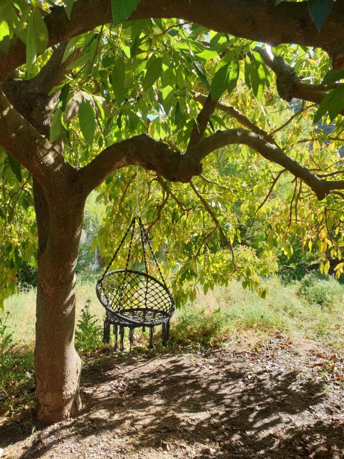 Vegan Guesthouse Finca Pereila Coín Dış mekan fotoğraf